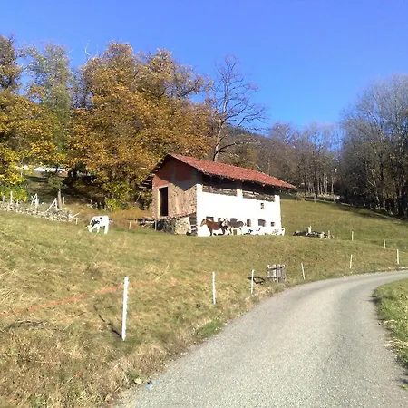 Guest house Castagneto 3*